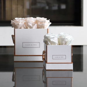 Rosé Gold Collection