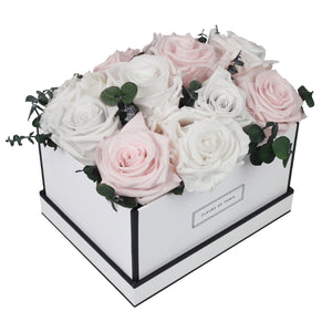 Coffee Table Collection