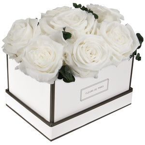 Coffee Table Collection