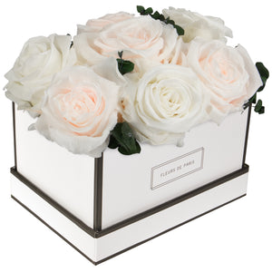 Coffee Table Collection