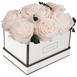 Coffee Table Collection