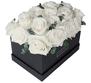 Coffee Table Collection