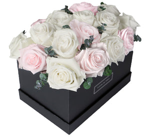 Coffee Table Collection