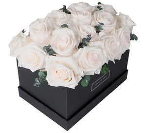 Coffee Table Collection