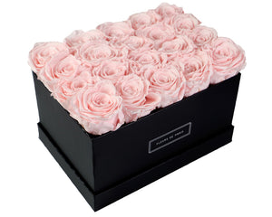 Coffee Table Collection