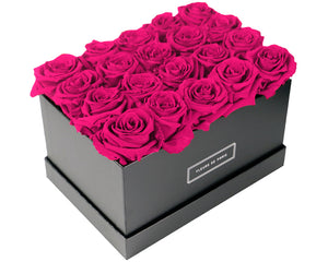 Coffee Table Collection