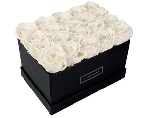 Coffee Table Collection