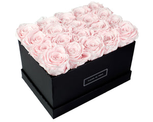 Coffee Table Collection