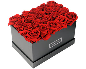 Coffee Table Collection