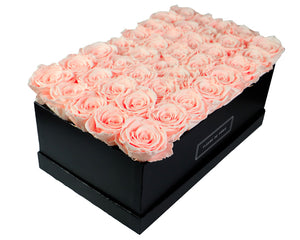 Coffee Table Collection