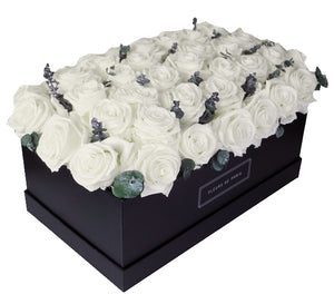 Coffee Table Collection