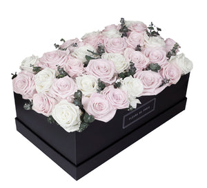 Coffee Table Collection