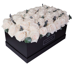 Coffee Table Collection