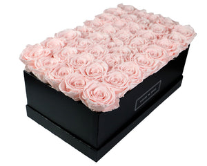 Coffee Table Collection