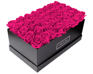 Coffee Table Collection