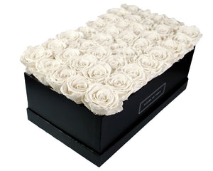 Coffee Table Collection