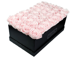 Coffee Table Collection