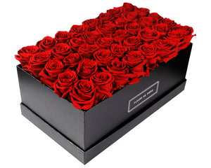 Coffee Table Collection