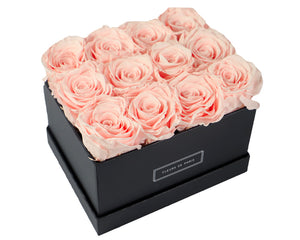 Coffee Table Collection