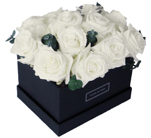 Coffee Table Collection