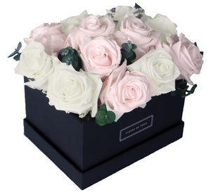 Coffee Table Collection