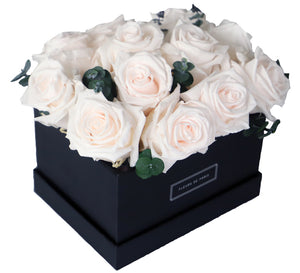 Coffee Table Collection