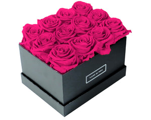 Coffee Table Collection