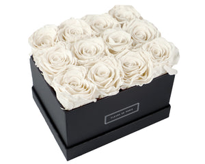 Coffee Table Collection