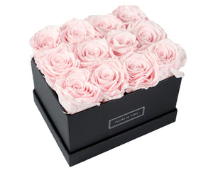 Coffee Table Collection