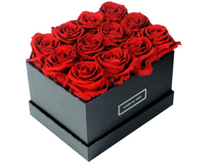 Coffee Table Collection