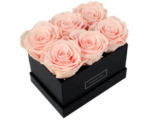 Coffee Table Collection