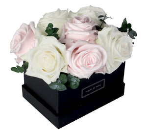 Coffee Table Collection