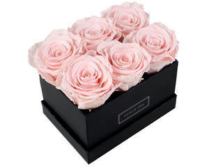 Coffee Table Collection