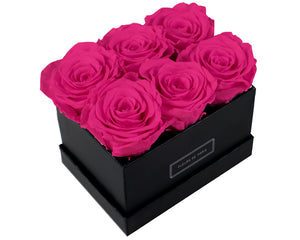 Coffee Table Collection