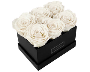 Coffee Table Collection