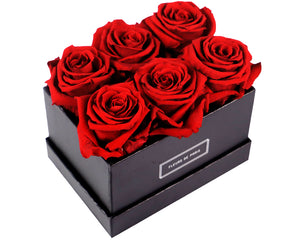 Coffee Table Collection