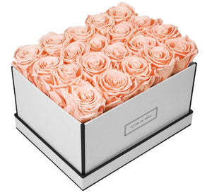 Coffee Table Collection