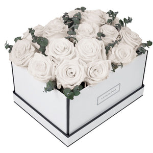 Coffee Table Collection