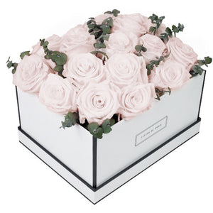 Coffee Table Collection