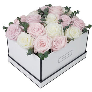 Coffee Table Collection