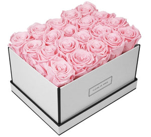 Coffee Table Collection