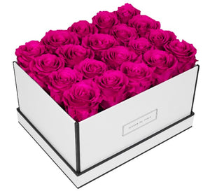 Coffee Table Collection