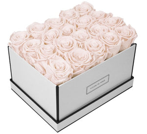 Coffee Table Collection