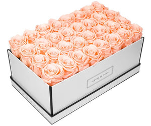 Coffee Table Collection