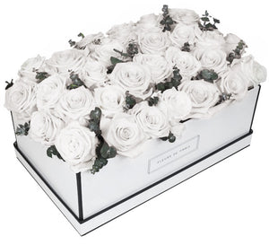 Coffee Table Collection