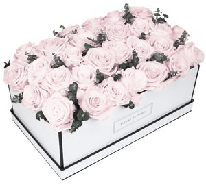 Coffee Table Collection