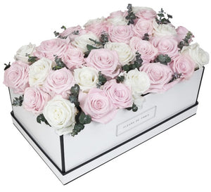 Coffee Table Collection