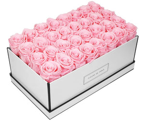 Coffee Table Collection