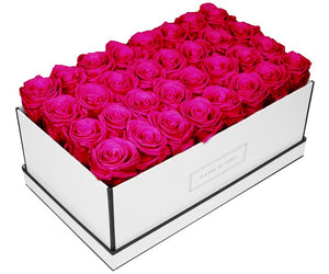 Coffee Table Collection