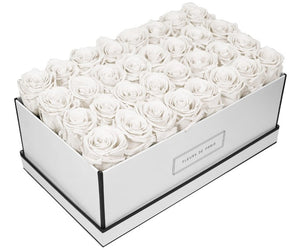 Coffee Table Collection